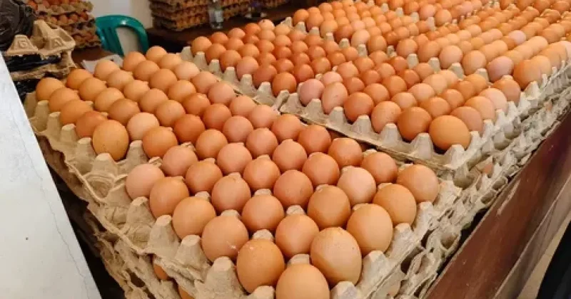В Азербайджане самые дешевые в регионе куриные яйца