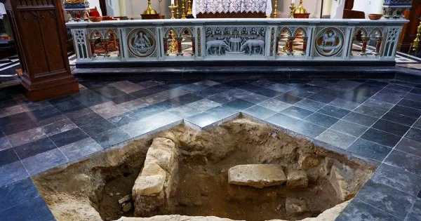 У потомка д Артаньяна взяли тест ДНК