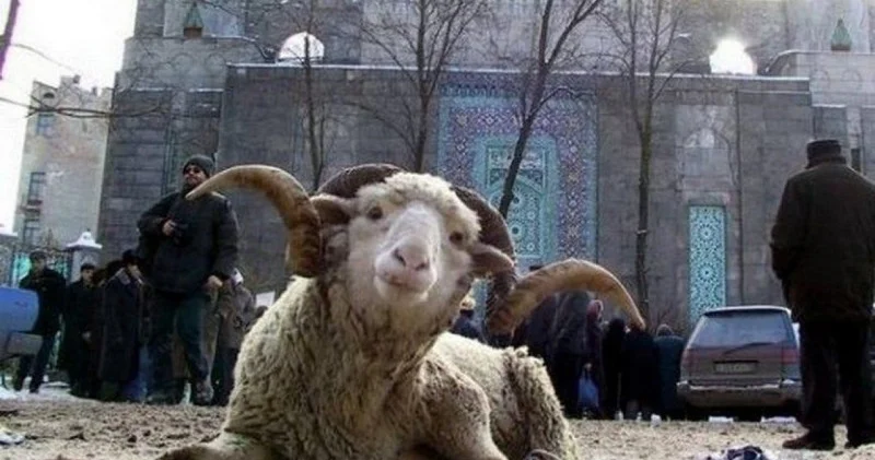Bayramlarla əlaqədar 5 gün ardıcıl iş olmayacaq