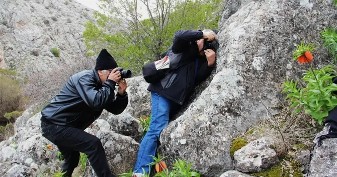 Ağlayan gəlin gülünü qoparan 700 min cərimələnir