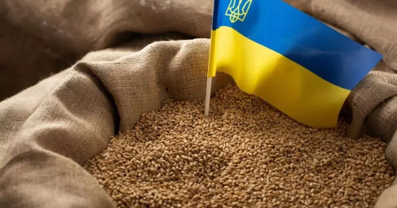 МИД Израиля: Запрос Украины по зерну был без доказательств