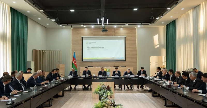 Рабгруппа по разработке неметаллических ресурсов утвердила план работы до 2028 года