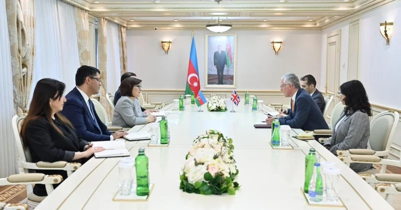 Milli Məclisin sədri Britaniya səfiri ilə görüşüb
