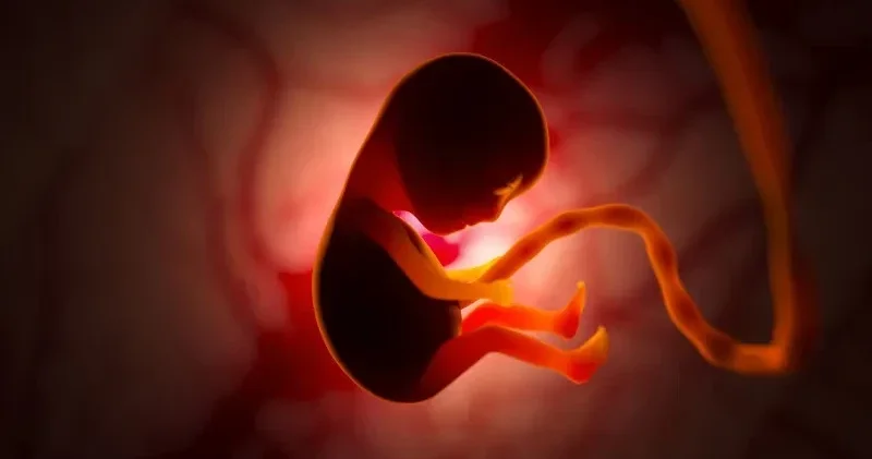 В США провели уникальную операцию на нерожденном ребенке