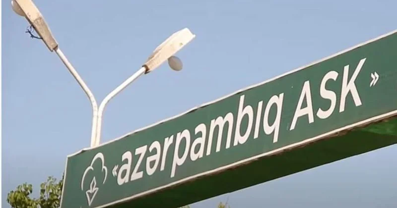 Azərpambıq ixracdan üç ayda 12 milyon dollara yaxın gəlir əldə edib