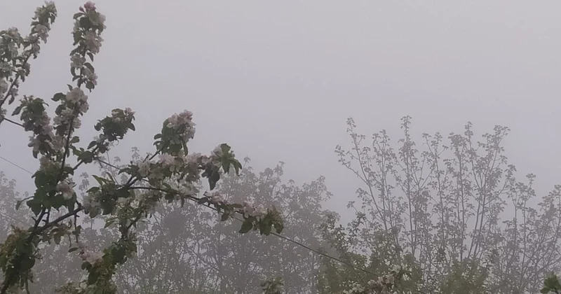 Şimal Qərb bölgəsində hava yağışlı, yollar dumanlıdır FOTO