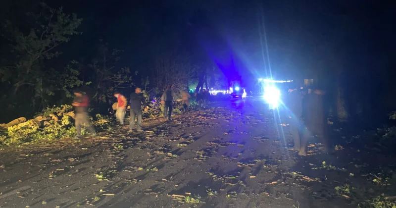 Şabranda ağac aşıb, Gəndob Yalama yolu bir müddət bağlı qalıb