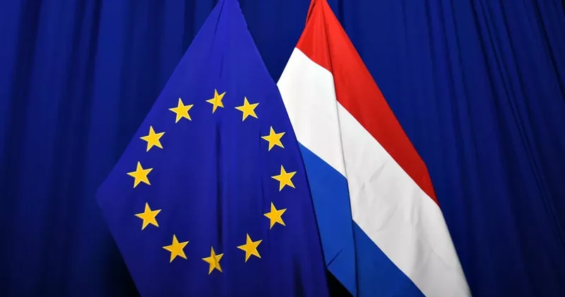 Власти Нидерландов запросили помощь Евросоюза в тушении пожаров