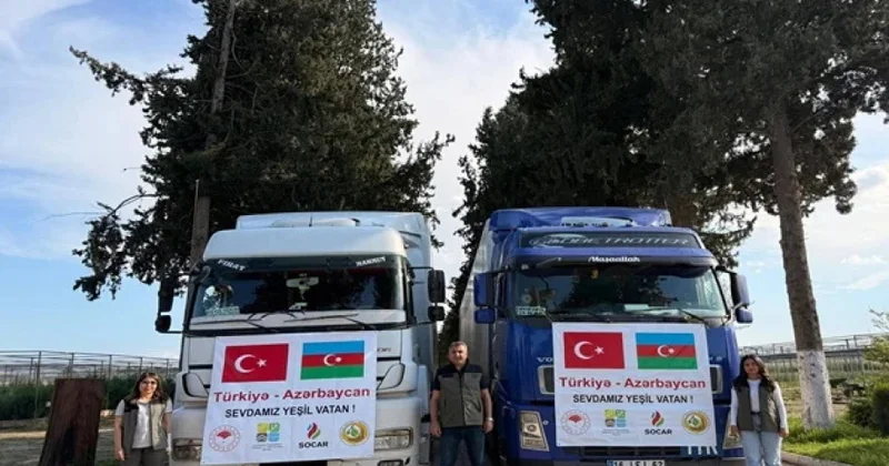 Türkiyənin Şanlıurfa vilayətindən Azərbaycana minlərlə ting göndərilib
