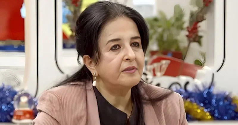 “Türk sözlərindən istifadə edirlər, amma nəzərə almırlar ki...” Dilçi alim TƏNQİD ETDİ