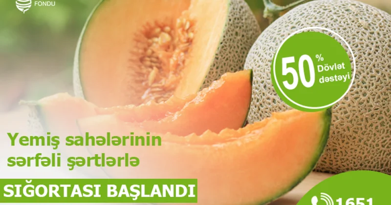 Yemiş sahələrinin sərfəli şərtlərlə sığortasına başlanıldı şərtlər, məbləğlər