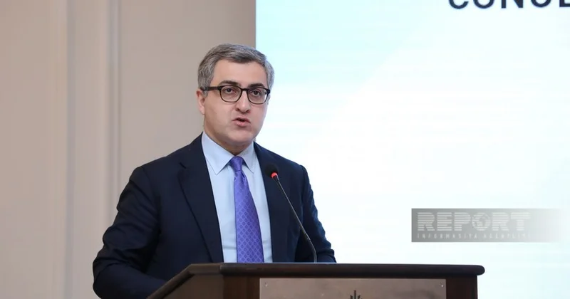Назван объем турецких инвестиций в ненефтегазовый сектор Азербайджана