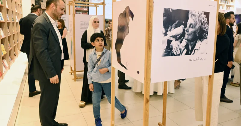 Bakıda “Zorakılığa yox” adlı sərgi açılıb