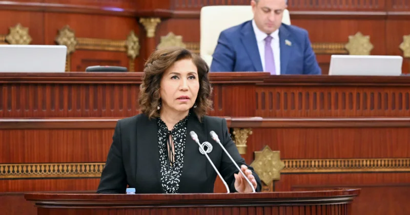Komitə sədri parlamentdə hesabat verir