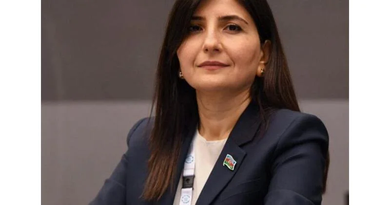 Tramp administrasiyası Azərbaycan ABŞ münasibətlərində strateji tərəfdaşlığı dəstəkləyir Sevil Mikayılova