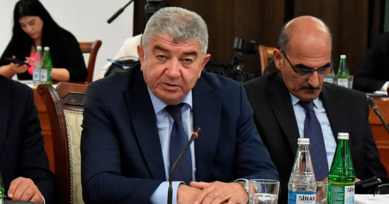 Qarabağ və Şərqi Zəngəzur iqtisadi rayonları 100 faiz yaşıl enerji ilə təchiz edilir