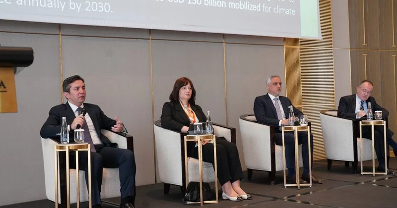 Замглавы МИД Азербайджана рассказал в Стамбуле об итогах COP29