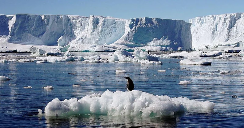 Qlobal temperatur növbəti beş il ərzində rekord həddə qalacaq