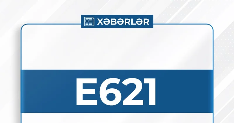 E621 kodu bizə nə deyir?