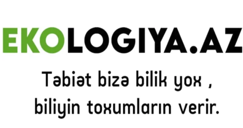 saytının 2 yaşı oldu