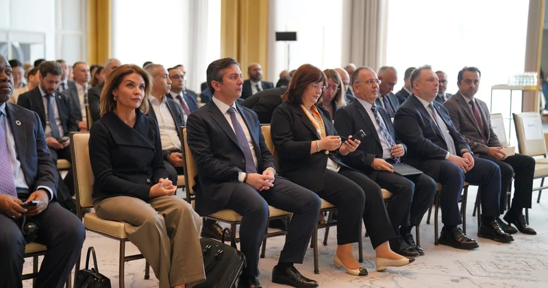 Xarici işlər nazirinin müavini İstanbulda COP29 la bağlı keçirilən konfransda iştirak edib