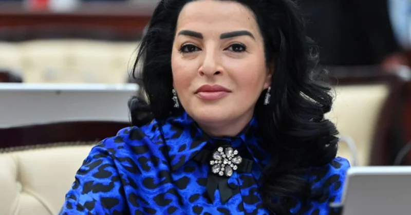 Azərbaycan, Türkiyə və Pakistan liderlərinin səsləndirdiyi mesajlar sarsılmaz birliyimizin göstəricisidir ŞƏRH