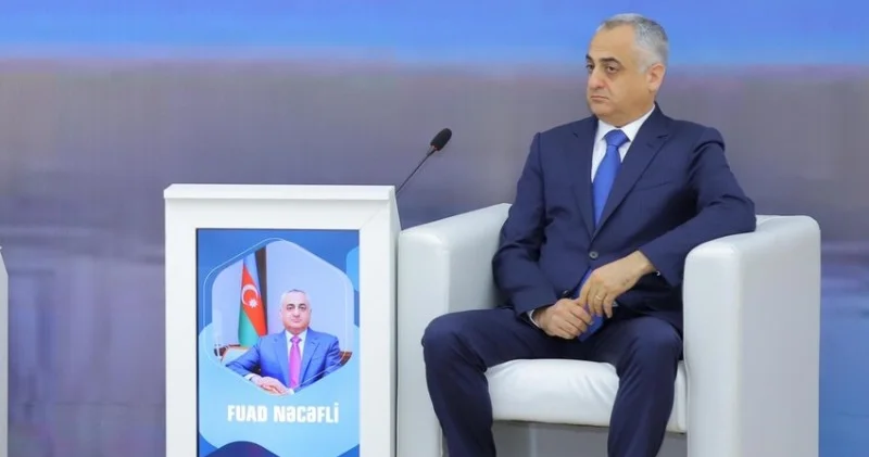 Fuad Nəcəfli: Naxçıvanda yerli gəlirlər artıb