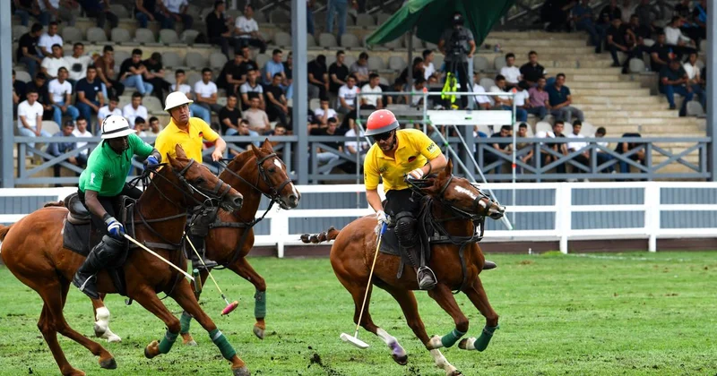 Çövkən üzrə ilk Avropa Çempionatı Polşada keçiriləcək