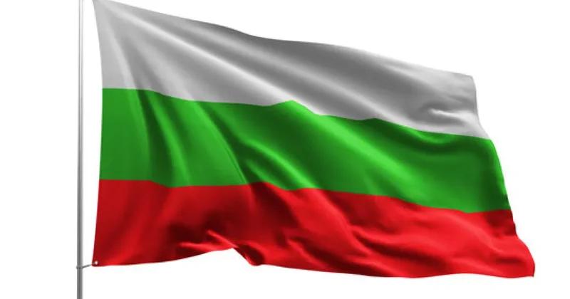 FT: ЕК накажет Болгарию