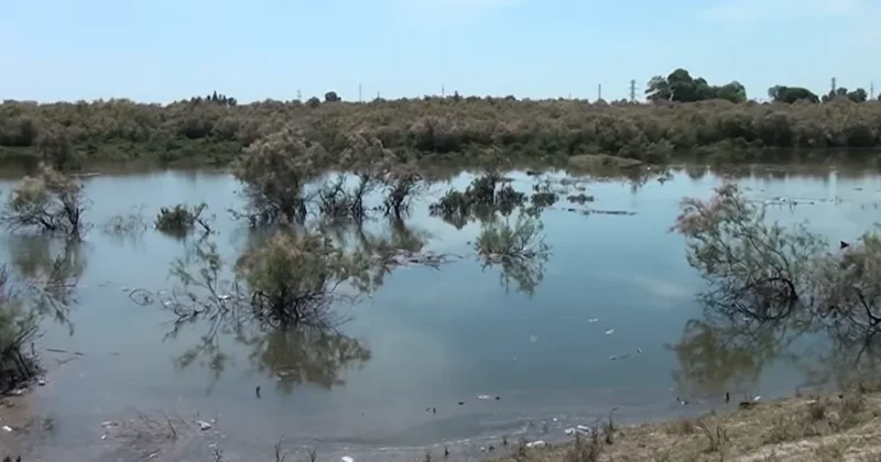 Kürdə suyun səviyyəsi artmaqda davam edir: Sahilboyu kəndlər TƏHLÜKƏDƏ VİDEO