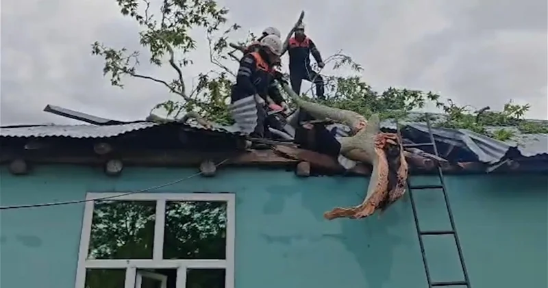 МЧС устраняет последствия сильного ветра ВИДЕО
