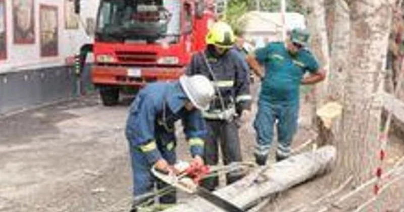 Güclü külək İrəvanda və Ermənistanın digər bölgələrində ağacları və elektrik dirəklərini aşırıb