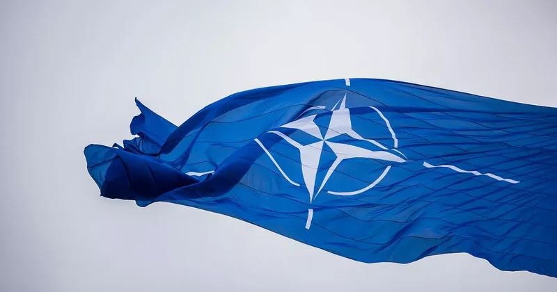В Литве началась весенняя сессия Парламентской ассамблеи НАТО