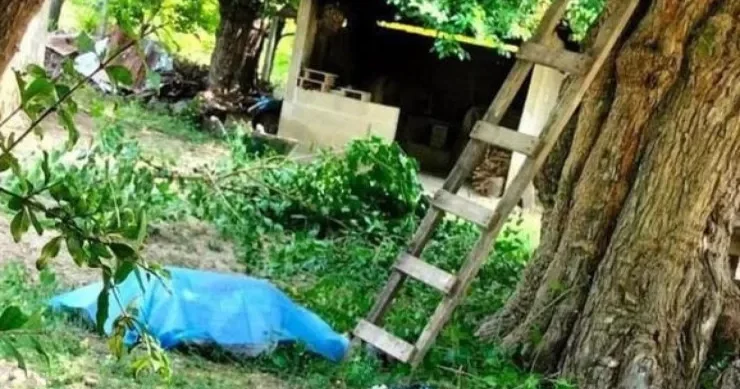 Gilas yığan kişi ağacdan yıxılıb öldü