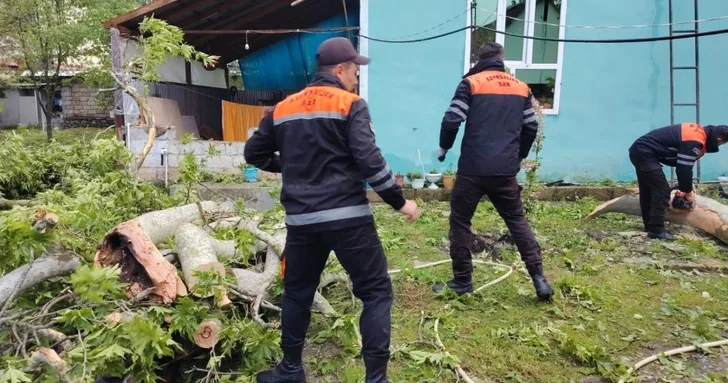 Непогода нанесла ущерб Габале и Огузу: службы продолжают восстановительные работы