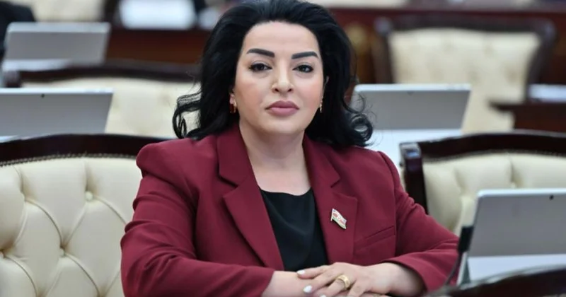 Azərbaycan haqlı olaraq adekvat addımlar atır
