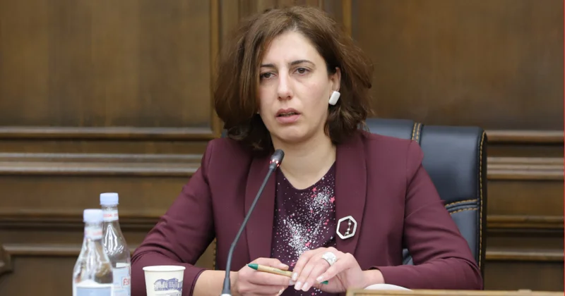 “İrəvan Qərbi Azərbaycan və Böyük Turana “hə” deyib”