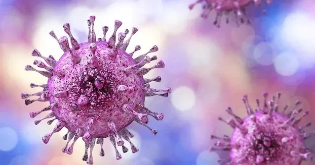 Bu virus ciddi təhlükə yarada bilər