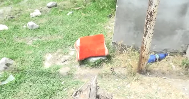 İstirahət etdiyi yerdə maşın vurub öldürdü Qəza törədən həkim imiş