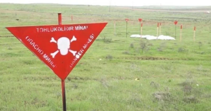 Ötən həftə aşkarlanan mina sayı açıqlandı