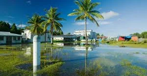 Tuvalu sakinlərinin üçdə biri arxipelaqın su basması səbəbindən Avstraliya vizası almaq istəyir
