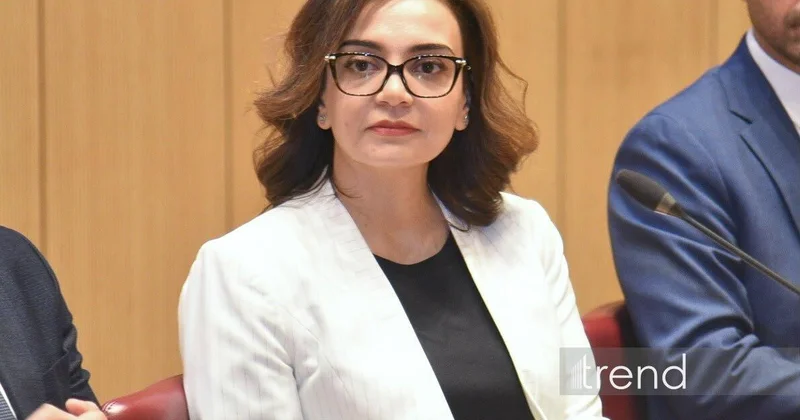 Севиндж Мамедова заявила о высоком научном потенциале Азербайджана