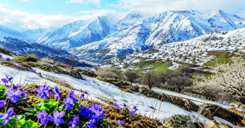 Düşüncə ovqatı, könül sovqatı