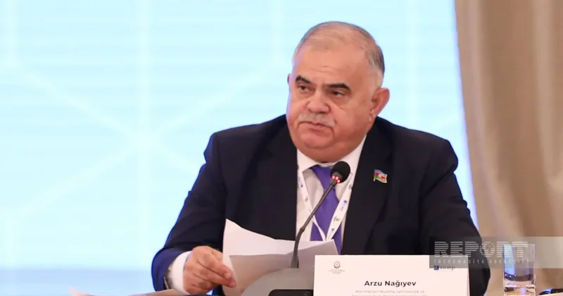 Арзу Нагиев: Необходима международная стратегия для установления судьбы пропавших без вести лиц