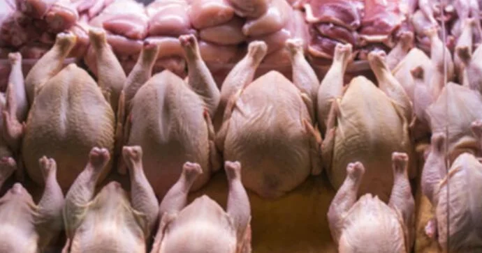 Azərbaycanda hormonlu broyler toyuqları yetişdirilir? RƏSMİ AÇIQLAMA