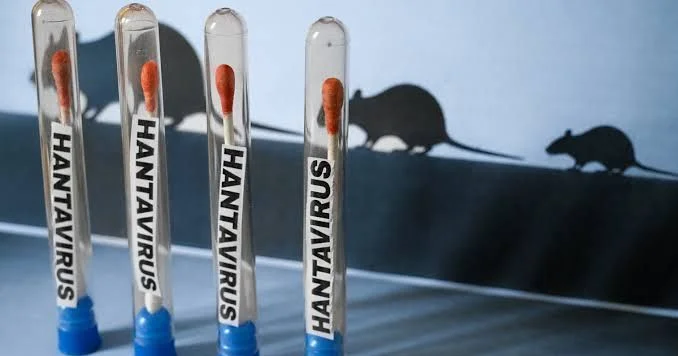 Hantavirus epidemiyası 2 iyulda bitəcək?