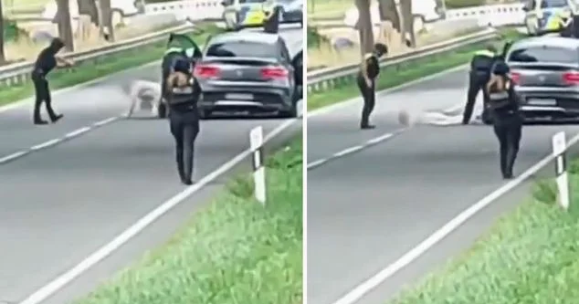 Almaniyada altı nəfərin ölümünə səbəb olan atışmanın 45 yaşlı türk əsilli şəxs tərəfindən törədildiyi məlum olub