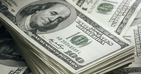 Bu gün dollar neçəyədir?