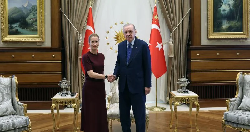 Ərdoğan Kaya Kallas ilə görüşüb