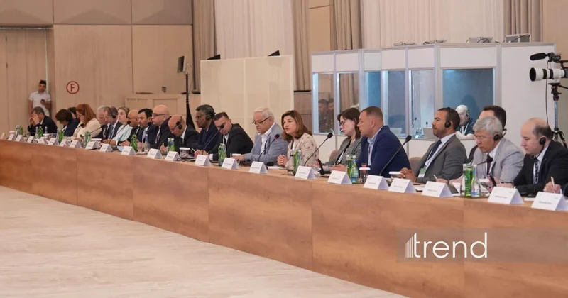 Гендиректор ICMP заявил, что прогресс между Азербайджаном и Арменией вселяет надежду